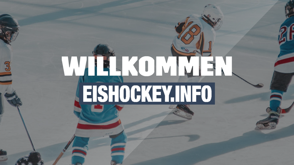 EISHOCKEY.INFO schließt sich Deutschlands größtem Sport-Mediennetzwerk an!